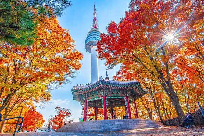 Small Group (7pax) Seoul Tour with Pickup/Dropoff (No Shopping) - Why this Seoul small-group tour feels efficient