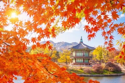 Small Group (7pax) Seoul Tour with Pickup/Dropoff (No Shopping) - Pickup and day-of logistics that reduce stress