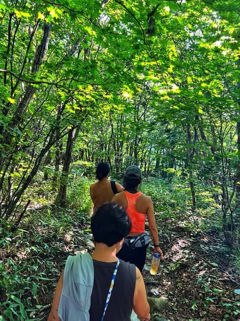 Small Group Hike on Mt. Bukhan’s Secret Paths & Local Lunch - Timing and logistics: the full 6-hour experience, step by step