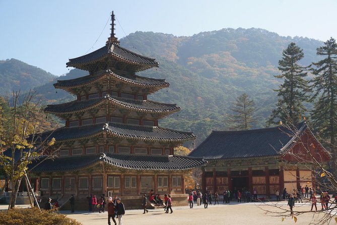 Songnisan National Park & Beopjusa Temple UNESCO site Private Tour - Choosing your route in Songnisan’s primeval forest