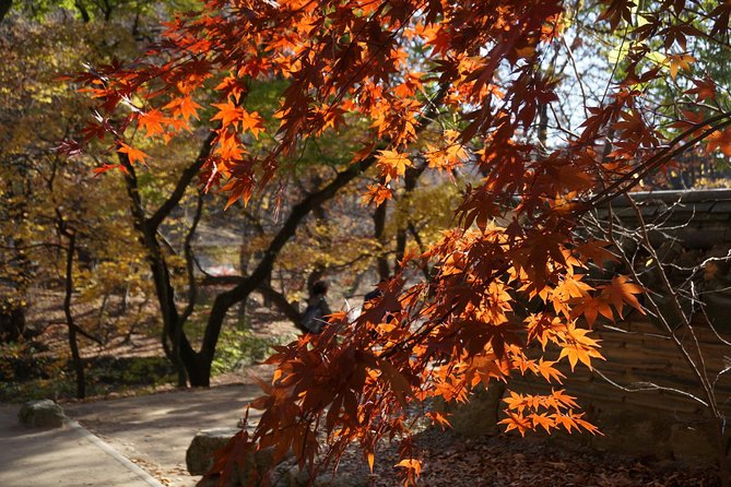 Songnisan National Park & Beopjusa Temple UNESCO site Private Tour - Admission included: what that means for your budget