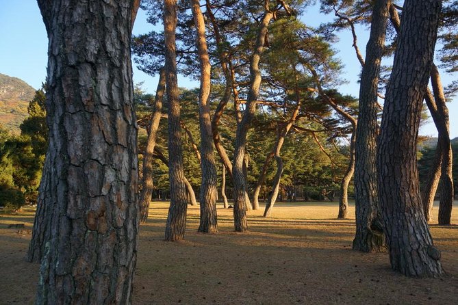 Songnisan National Park & Beopjusa Temple UNESCO site Private Tour - Beopjusa Temple and the UNESCO factor