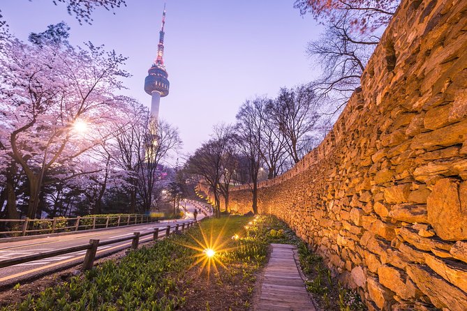 Special City Night Tour - A 4-hour Seoul night route that actually stays manageable