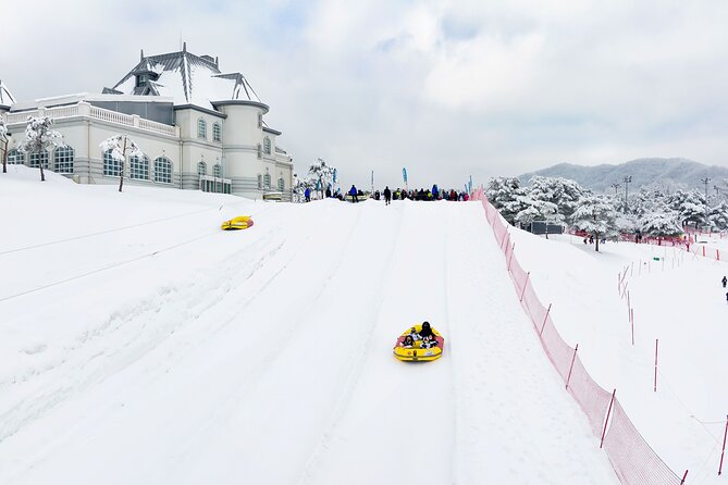 Strawberry Picking, Winter Sled with Eobi Ice Valley from Seoul - Vivaldi Park Snowyland: sledding that feels like the main event