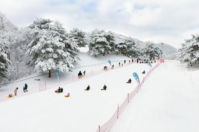 Strawberry Picking, Winter Sled with Eobi Ice Valley from Seoul - Who should book this tour (and who might skip it)