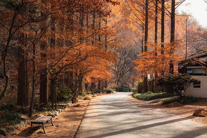Suwon Hwaseong Fortress & Jangtaesan Full-Day Tour: Autumn Leaves - Key highlights to look forward to