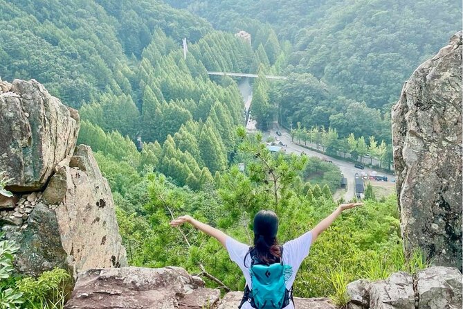Suwon Hwaseong Fortress & Jangtaesan Full-Day Tour: Autumn Leaves - Pickup and drop-off in central Seoul: the difference between smooth and stressful