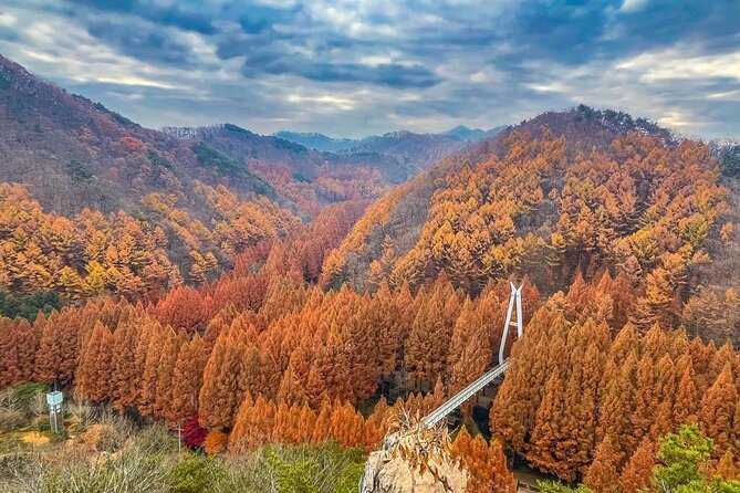 Suwon Hwaseong Fortress & Jangtaesan Full-Day Tour: Autumn Leaves - What you actually get for $59.57: value check