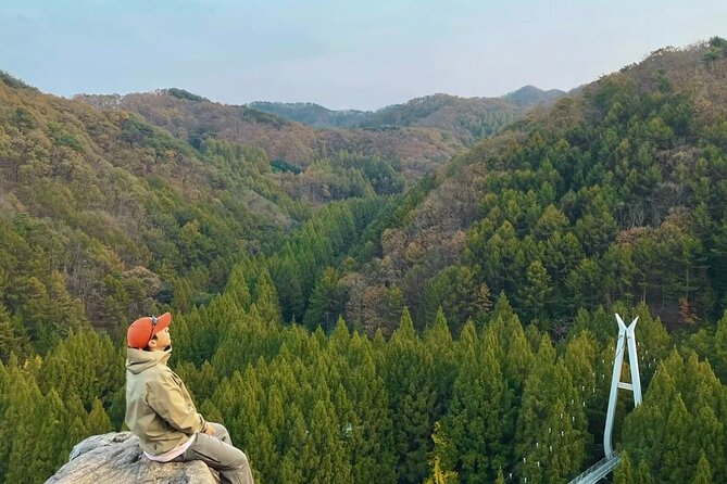 Suwon Hwaseong Fortress & Jangtaesan Full-Day Tour: Autumn Leaves - Jangtaesan Natural Forest: autumn leaves without the full-day grind
