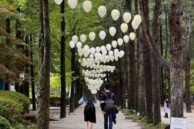 Trip to Nami Island with Petite France & Italian Village, Garden of Morning Calm - The Coach Ride from Seoul: Comfort You’ll Feel Later