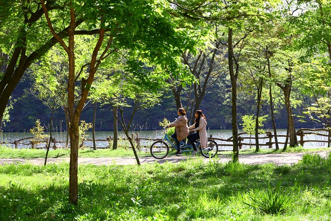 Trip to Nami Island with Petite France & Italian Village, Garden of Morning Calm - Petite France: The Quick Hit of Color and Photo Spots