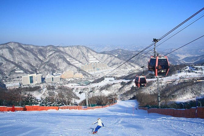 Vivaldi Park Winter Ski Resort with Nami Island Tour from Seoul - Key things to know before you go
