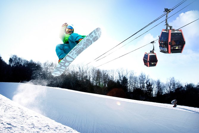 Vivaldi Park Winter Ski Resort with Nami Island Tour from Seoul - A One-Day Seoul Winter Escape: Ski Slopes and Nami Island Together
