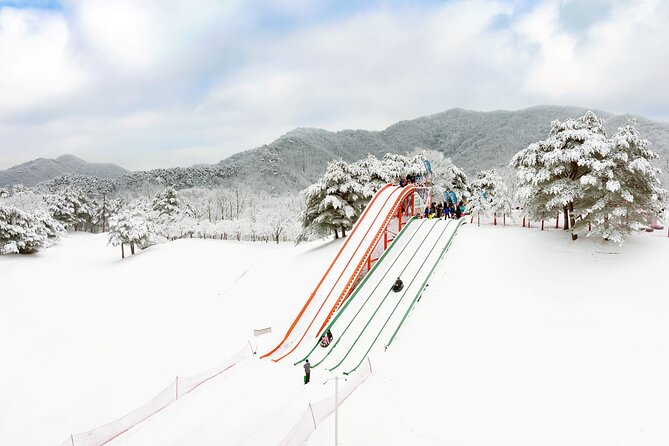 Vivaldi Park Winter Ski Resort with Nami Island Tour from Seoul - Transport and Timing: Why the Bundled Schedule Is the Real Convenience
