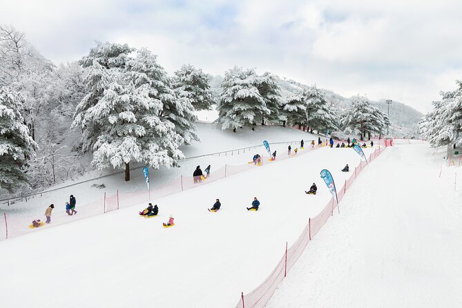 Vivaldi Park Winter Ski with Eobi Ice Valley Day Tour from Seoul - A Two-Stop Winter Day from Seoul: Eobi Ice Valley + Vivaldi Park