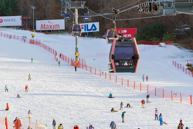 Vivaldi Park Winter Ski with Eobi Ice Valley Day Tour from Seoul - Who This Winter Day Trip Suits Best