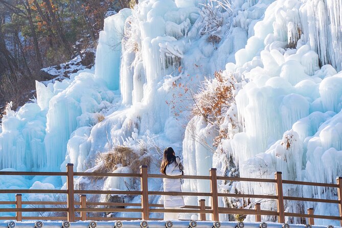Vivaldi Park Winter Ski with Eobi Ice Valley Day Tour from Seoul - Value Check: Is $18.57 Worth It?