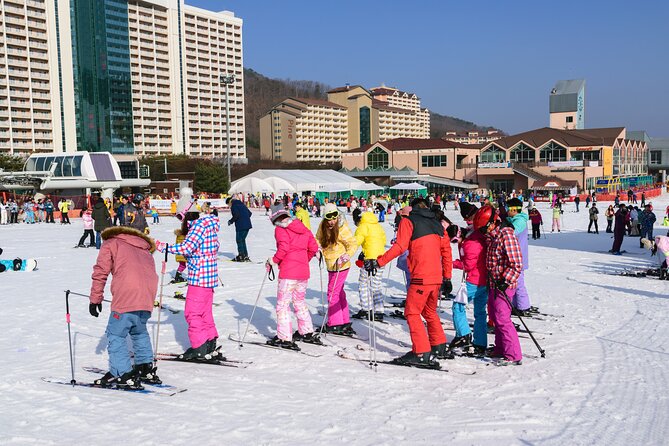 Vivaldi Park Winter Ski with Eobi Ice Valley Day Tour from Seoul - Should You Book This Tour?