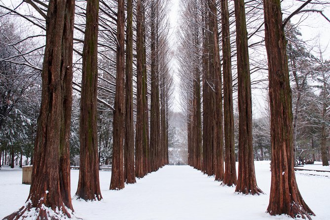 Winter Sonata TV Tour on Nami Island from Seoul - Morning Pickup and the Seoul-to-Nami Island Drive